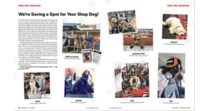 Shop Dog Showase, dealership, hound, pup, photos,