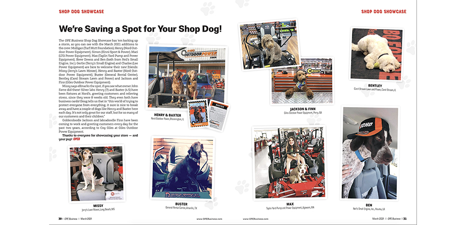 Shop Dog Showase, dealership, hound, pup, photos,