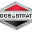 briggs&stratton-logo-2022